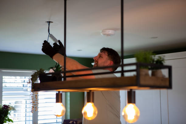 Best Electric Panel Repair  in Steele, MO